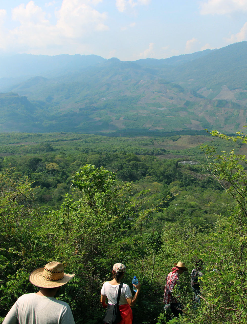 Selva Chiapas